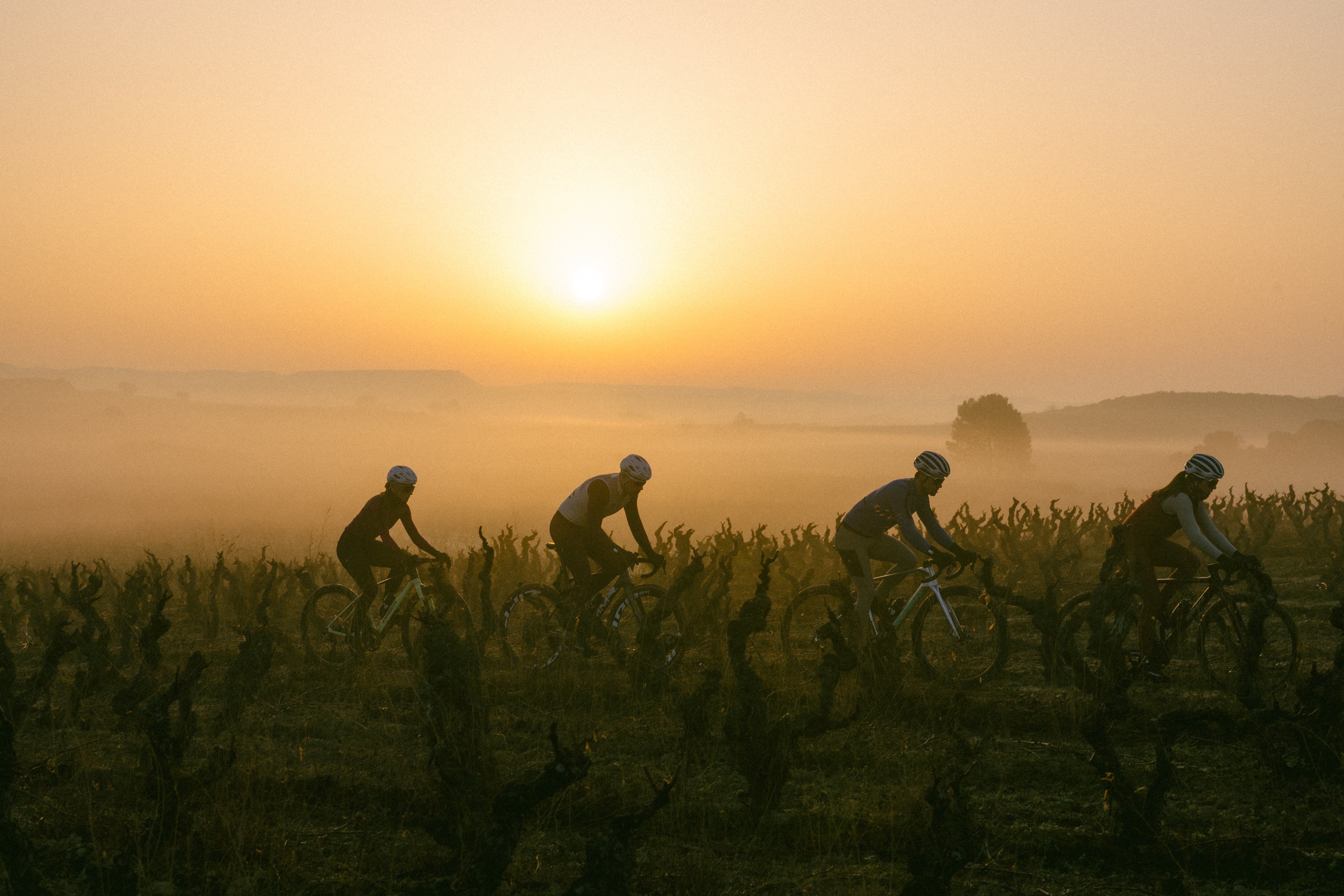 ETXEONDO JAPAN 公式オンラインショップ – ETXEONDO JAPAN ONLINE SHOP